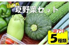 【訳アリ】【朝どれ】アグリ福ちゃん 夏野菜セット（５種類） ZS-6129