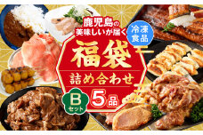 AS-086 【お楽しみ福袋B】鹿児島の美味しいが届く！5品以上