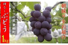 ZS-961 【先行予約】今が旬！ クルス農園の種なしぶどう 1kg 7月中旬より順次お届け
