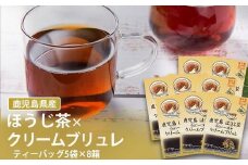 AS-085 鹿児島茶フレーバーティー【ほうじ茶】クリームブリュレ8箱