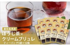 AS-352 鹿児島茶フレーバーティー【ほうじ茶】クリームブリュレ12箱