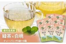AS-081 鹿児島茶フレーバーティー【緑茶】白桃8箱
