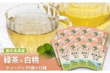 AS-348 鹿児島茶フレーバーティー【緑茶】白桃12箱