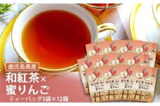 AS-349 鹿児島茶フレーバーティー【和紅茶】蜜りんご12箱