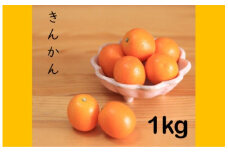 AS-167 きんかん１kg