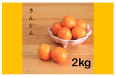 AS-752 きんかん２kg