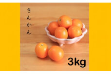 BS-373 きんかん3kg