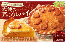 AS-478 天使のアップルパイ（22cm） ホール アップルパイ パイ スイーツ お菓子 菓子 焼き菓子
