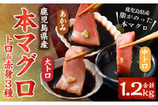 HSR-111 鹿児島県産本マグロ トロ＆赤身 3種セット 合計1.2kg 本マグロ トロ 赤身 マグロ 魚  刺身 刺し身