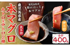 CS-223 鹿児島県産本マグロ 大トロ＆中トロセット 合計400g 本マグロ マグロ 大トロ 中トロ セット  刺身 刺し身