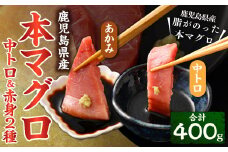 BS-379 鹿児島県産本マグロ 中トロ＆赤身セット 合計400g 本マグロ 大トロ 赤身 刺し身 セット 魚