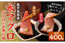 BS-920 鹿児島県産本マグロ 大トロ＆赤身セット 合計400g 本マグロ 大トロ 赤身 刺し身 セット 魚