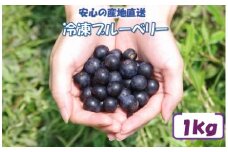 【先行予約】【７月以降順次発送】 冷凍ブルーベリー 1kg　AS-095　