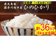 【定期便1ケ月おきに6回】薩摩川内市産ひのひかり 合計36kg (6㎏×6回) JS-316 米 精米 五つ星お米マイスター