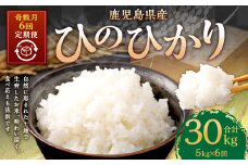【奇数月6回定期便】【新米先行予約】【KODAMAFARMS】ひのひかり 5kg（計30kg） KODA米 米 新米 精米 白米 お米 【2026年1月以降 奇数月に順次発送】 GS-612