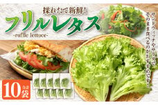 AS-0125 フリルレタス 10袋セット フリルレタス 野菜 葉物 朝採れ 新鮮