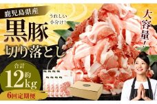 【6ヶ月定期便】鹿児島県産黒豚 切り落とし 合計12kg（2kg×6回） 鹿児島 黒豚 切り落とし 小分け 定期便 6回 豚肉 ウデ肉 肩肉 GSR-032 