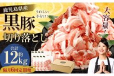 【隔月6回定期便】鹿児島県産黒豚 切り落とし 合計12kg（2kg×6回） 鹿児島 黒豚 切り落とし 小分け 隔月 定期便 6回 豚肉 ウデ肉 肩肉 GSR-033