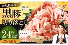 【12ヶ月定期便】鹿児島県産黒豚 切り落とし 合計24kg（2kg×12回） 鹿児島 黒豚 切り落とし 小分け 定期便 12回 豚肉 ウデ肉 肩肉 JSR-415