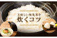 鹿児島県産 ひのひかり 無洗米 5kg×1袋