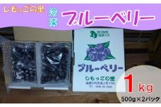 しもっごの里　冷凍ブルーベリー AS-2184