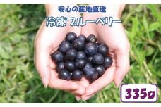 ZS-528 【先行予約】【７月以降順次発送】冷凍ブルーベリー 335g