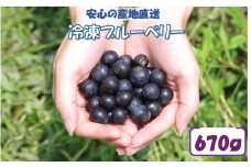 ZS-764 【先行予約】【７月以降順次発送】冷凍ブルーベリー 670g