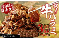やわらか 牛ハラミ（サガリ）肉 極旨秘伝醤油タレ漬け 合計3.0kg（300g×10袋）【訳あり】ハラミ 牛肉 BS-147