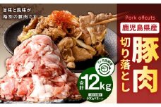 【3回定期便】鹿児島県産 豚肉 切り落とし（500g×8パック×3回 合計12kg）お肉 豚 肉 切り落とし肉 ES-211