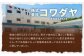 【6回定期便】鹿児島県産 豚肉 切り落とし