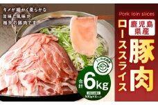 【3回定期便】鹿児島県産　豚肉 ローススライス（500g×4パック×3回 合計6kg）ロース 豚 肉 お肉 DS-513