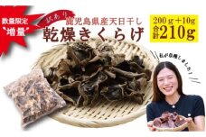 ＼数量限定〝増量"／鹿児島県産天日干し【訳アリ】乾燥きくらげ　合計210g ZS-785