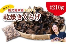 ＼"訳アリ”／鹿児島県産天日干し乾燥きくらげ 合計210g 国産 訳あり 訳アリ 業務用 乾燥きくらげ 野菜 きのこ 健康 食物繊維 低カロリー エムズ わか農園 サラダ みそ汁 スープ 炒め物 煮物 和え物 鹿児島県 薩摩川内市 送料無料 ZS-785
