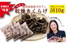 ＼数量限定〝増量"／鹿児島県産天日干し【訳アリ】乾燥きくらげ　合計610g　BS-096