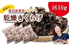＼"訳アリ”／鹿児島県産天日干し乾燥きくらげ 合計610g 国産 訳あり 訳アリ 業務用 乾燥きくらげ 野菜 きのこ 健康 食物繊維 低カロリー エムズ わか農園 サラダ みそ汁 スープ 炒め物 煮物 和え物 鹿児島県 薩摩川内市 送料無料 BS-096