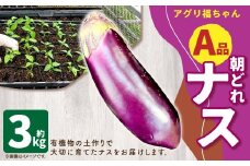【鹿児島県産】【A品】 ナス 3kg なす 茄子【2025年7月上旬から9月下旬発送予定】 ZS-786