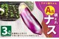 【鹿児島県産】【A品】 ナス 3kg なす 茄子【2025年7月上旬から9月下旬発送予定】 ZS-786