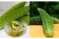 【鹿児島県産】【A品】 ゴーヤ 2kg ゴーヤー 朝どれ 夏野菜 【2025年7月上旬から9月下旬発送予定】 ZS-556