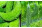 【鹿児島県産】【A品】 ゴーヤ 2kg ゴーヤー 朝どれ 夏野菜 【2025年7月上旬から9月下旬発送予定】 ZS-556