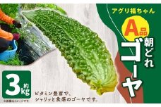 【鹿児島県産】【A品】 ゴーヤ 3kg ゴーヤー 朝どれ 夏野菜 【2025年7月上旬から9月下旬発送予定】 ZS-787
