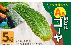 【鹿児島県産】【A品】 ゴーヤ 5kg ゴーヤー 朝どれ 夏野菜 【2025年7月上旬から9月下旬発送予定】 ZS-980