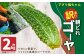 【鹿児島県産】【訳あり】 ゴーヤ 2kg ゴーヤー 朝どれ 夏野菜 【2025年7月上旬から9月下旬発送予定】 ZS-557