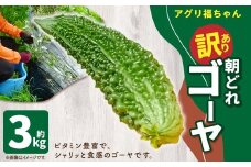 【鹿児島県産】【訳あり】 ゴーヤ 3kg ゴーヤー 朝どれ 夏野菜 【2025年7月上旬から9月下旬発送予定】 ZS-6131