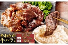 【隔月6回定期便】やわらか 牛ハラミ（サガリ）肉 極旨秘伝醤油タレ漬け（300g×2袋）【訳あり】ハラミ 牛肉  個包装 焼肉 BS-851 (ZS-6122-0)