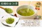 宮園製茶の有機粉末桑茶 お試しセット 2袋（1袋あたり20g） 粉末 お茶 桑茶 ZS-549
