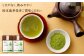 宮園製茶の有機粉末桑茶 お試しセット 2袋（1袋あたり20g） 粉末 お茶 桑茶 ZS-549