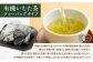 宮園製茶の有機いむた茶 ティーバッグタイプ お試しセット 2袋 （1袋あたり2g×15包）お茶 ティーバッグ ZS-550