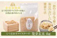 BS-376 発芽玄米 4kg(1kg×4袋)