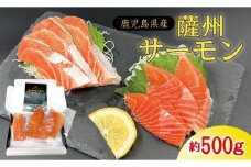 薩州サーモン 500g 鹿児島 国産 養殖 サーモン  AS-2228
