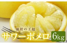 AS-2133 鹿児島県産サワーポメロ 6kg 【季節限定：2月中旬から順次発送予定】